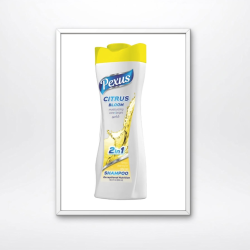 Pexus Hair Shampoo for Oily Hair 600ml.