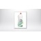 TEX Ultra Liquid Dish Detergent Apple 675ml.